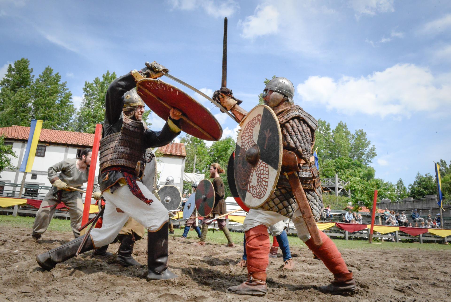 Vikings | Archeon