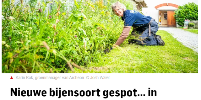 Nieuwe bijensoort in het ad.png