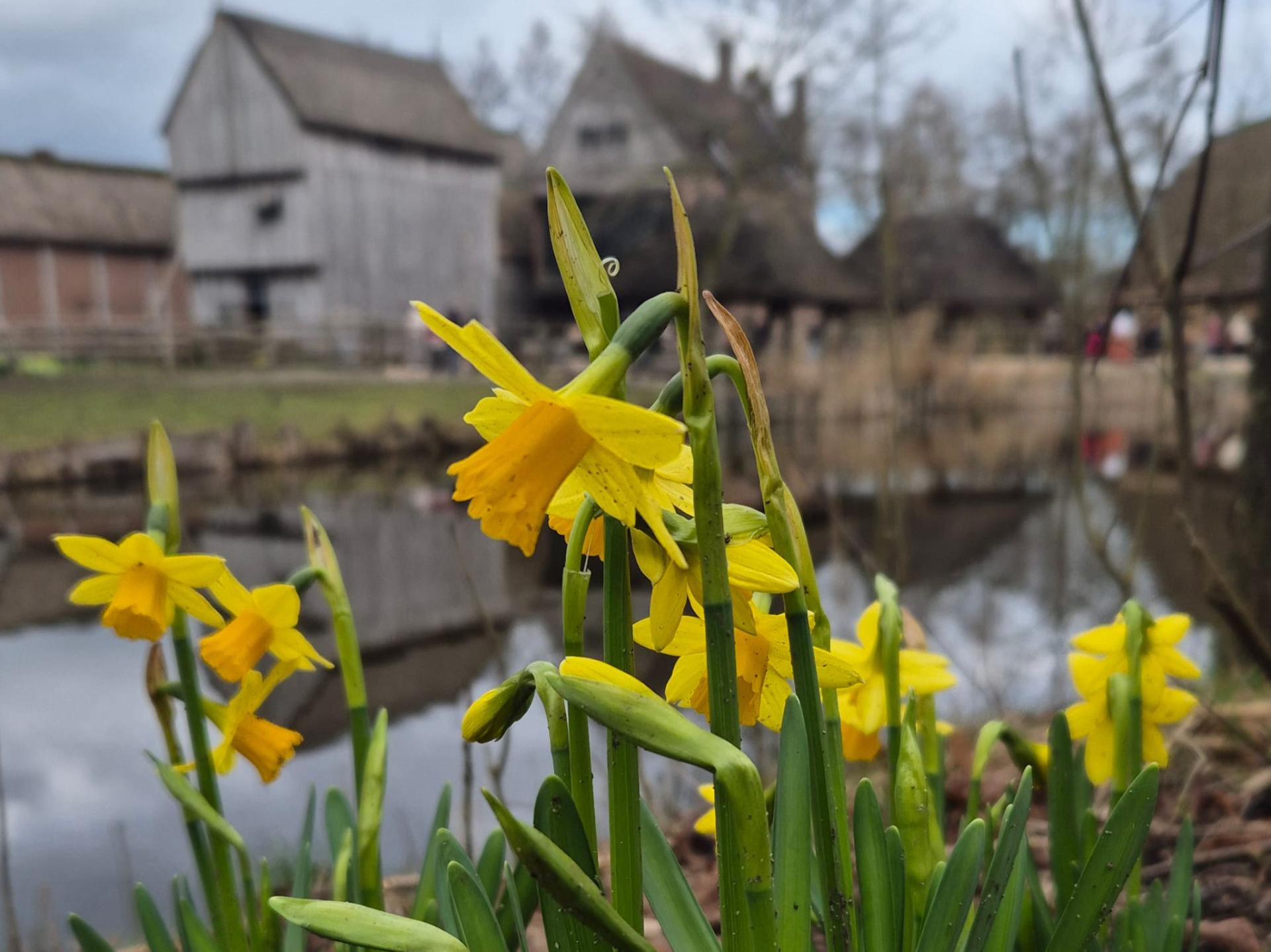 Groenonderhoud in Archeon week 12 2025